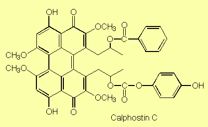 formula of calphostin