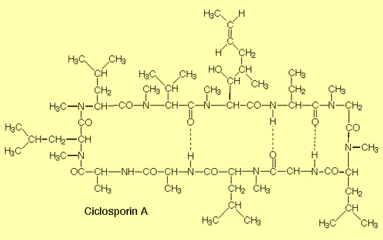 formula of ciclosporin