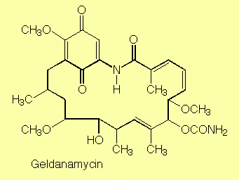 formula of geldanamycin